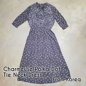 [NWOT] Charmeuse Polka Dot Tie-Neck Dress Elastic Waist US Size S